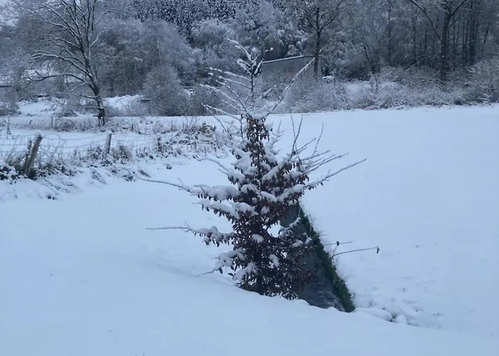 Nest Heiminghausen